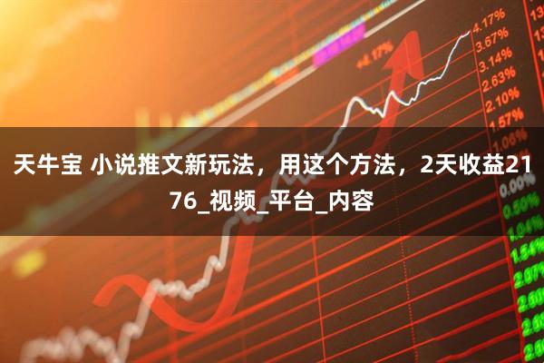 天牛宝 小说推文新玩法，用这个方法，2天收益2176_视频_平台_内容