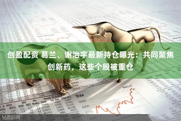创盈配资 葛兰、谢治宇最新持仓曝光：共同聚焦创新药，这些个股被重仓