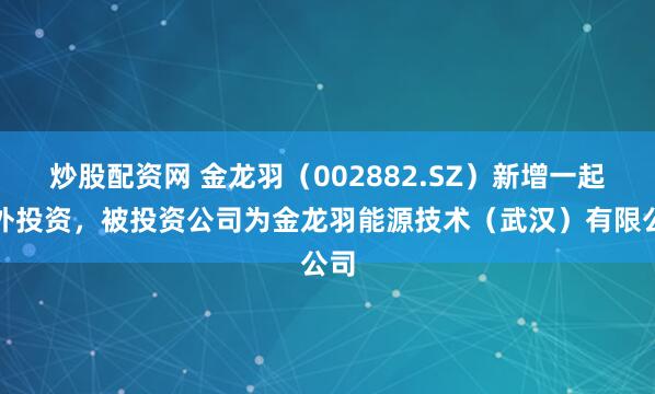 炒股配资网 金龙羽（002882.SZ）新增一起对外投资，被投资公司为金龙羽能源技术（武汉）有限公司